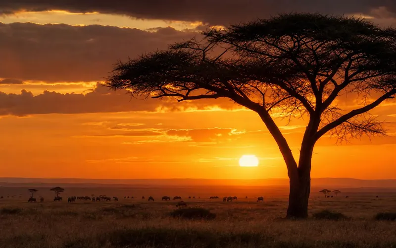 Kenya illustration
